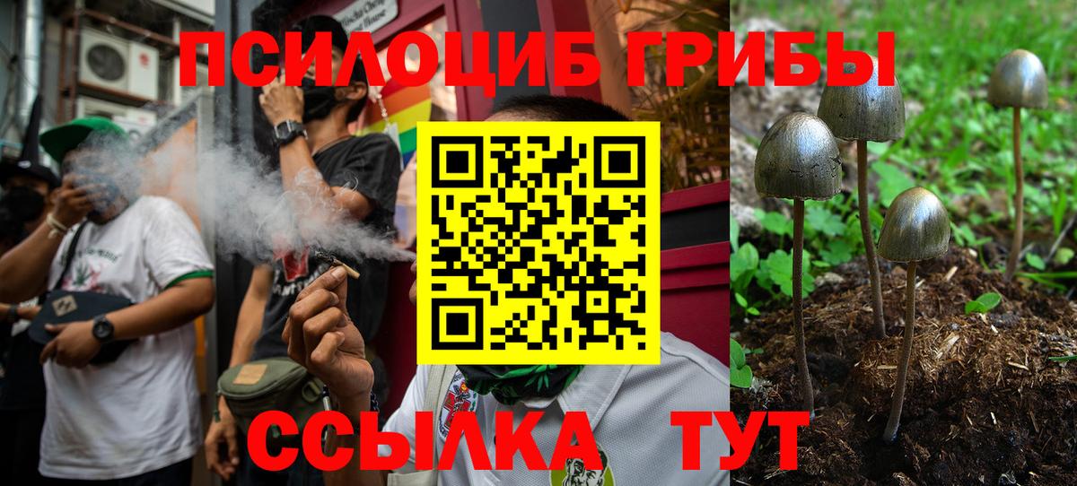 Ирбит  Псилоцибиновые грибы Psilocybine cubensis  Вход с VPN  Псилоцибиновые грибы ЛСД 