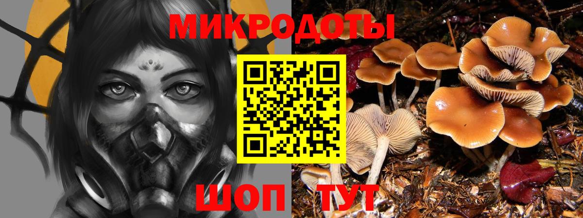 Галлюциногенные грибы мухоморы Ирбит